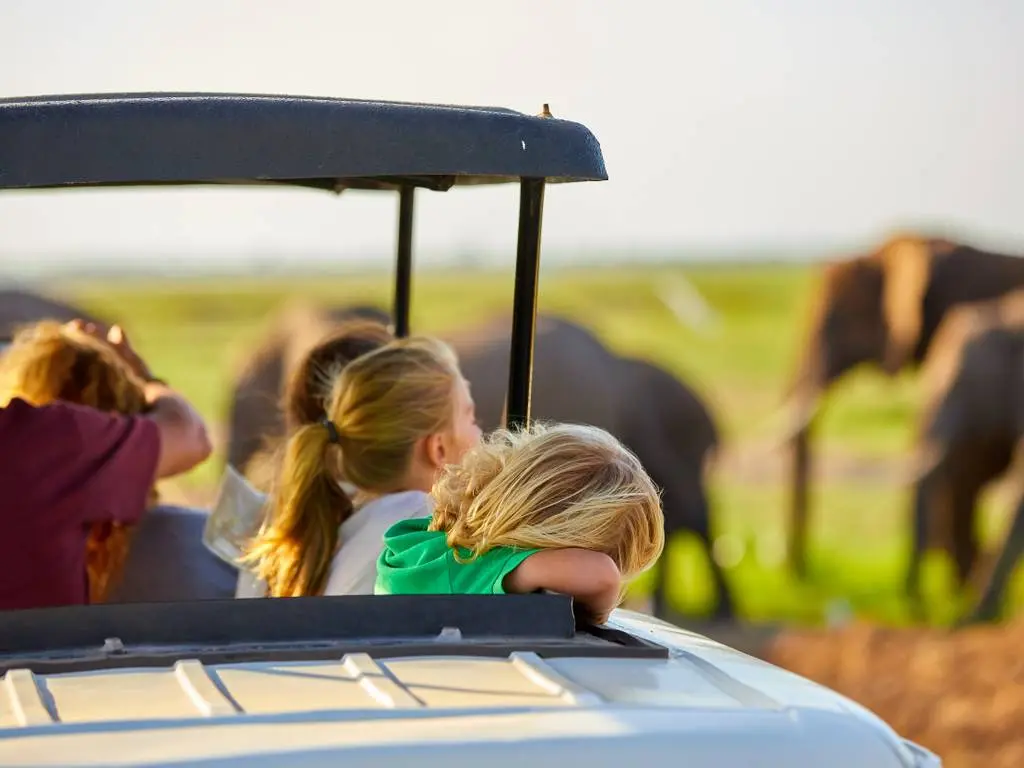 Family on a game drive looking out over the plains