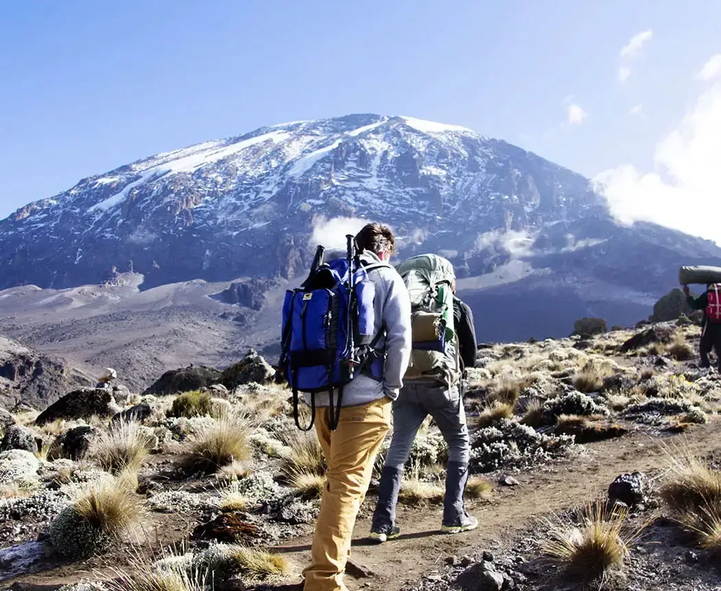 Trekker looking towards Kibo on Kilimanjaro