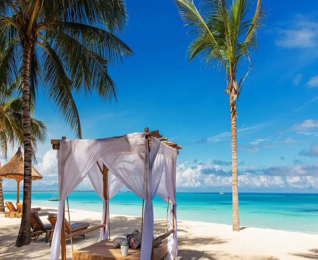 Safari and Zanzibar beach