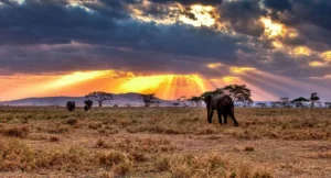 Mkomazi Mountain National Park