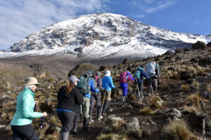 7 Day Lemosho Route - Tanzania Kilimanjaro Trekking