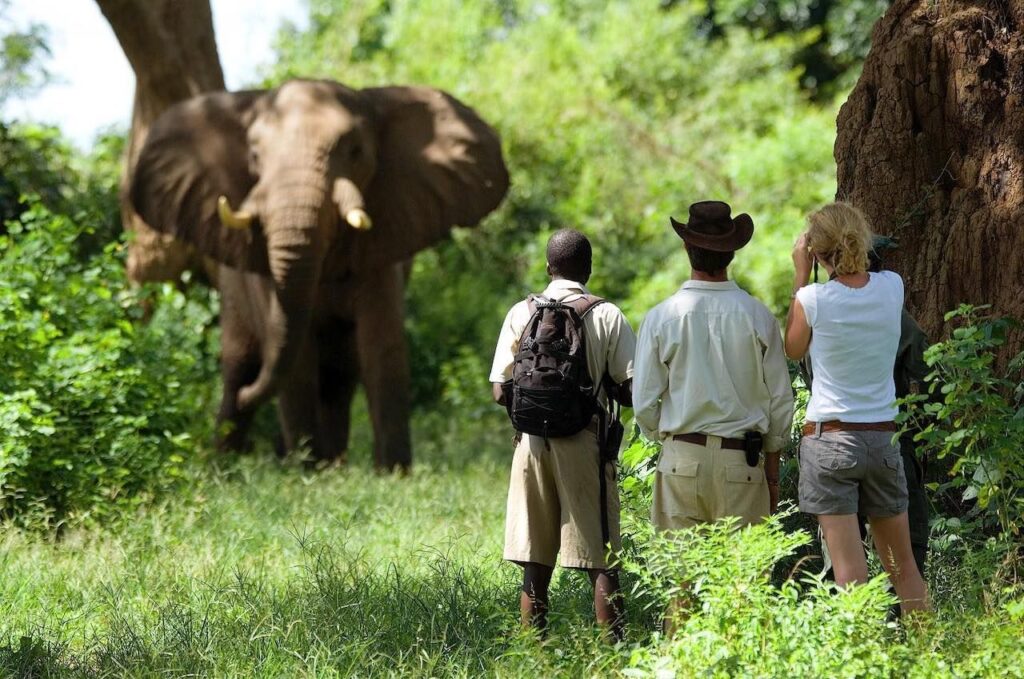 8 Days Tanzania Active Walking Safari