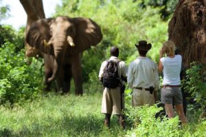 8 Days Tanzania Active Walking Safari